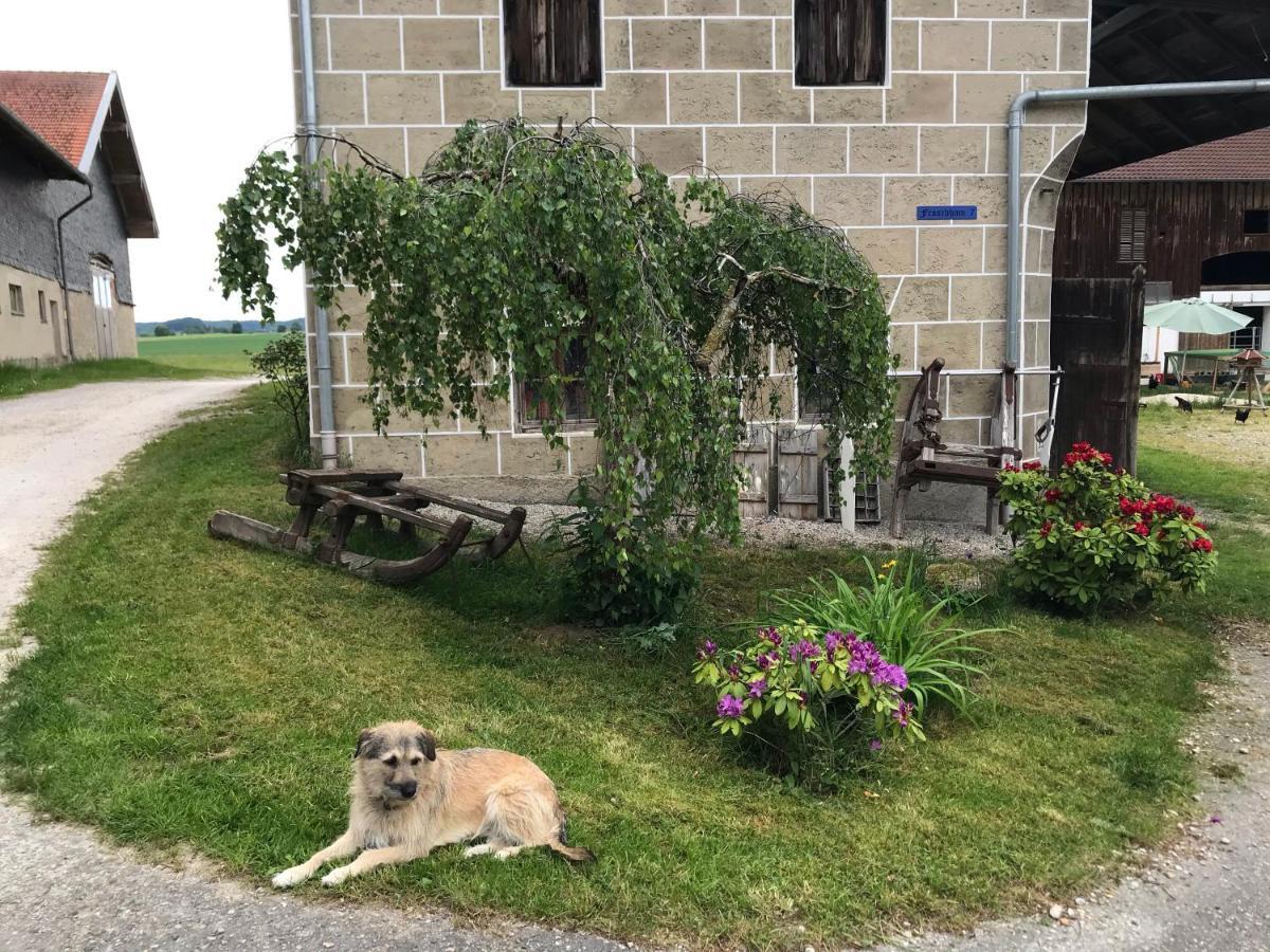Pferdehof Dietzsch, Tittmoning Dış mekan fotoğraf